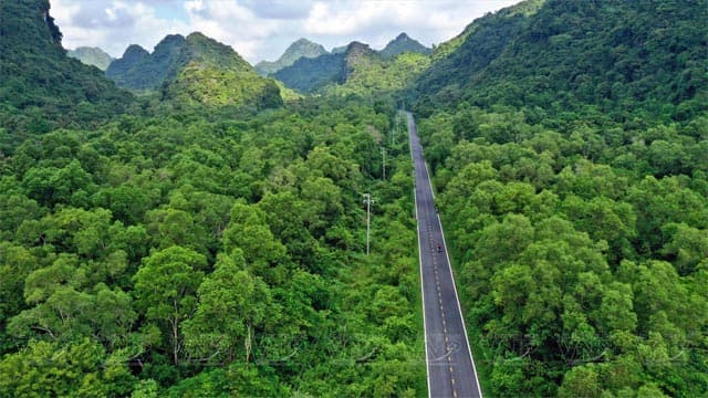 Vườn Quốc Gia Cát Bà